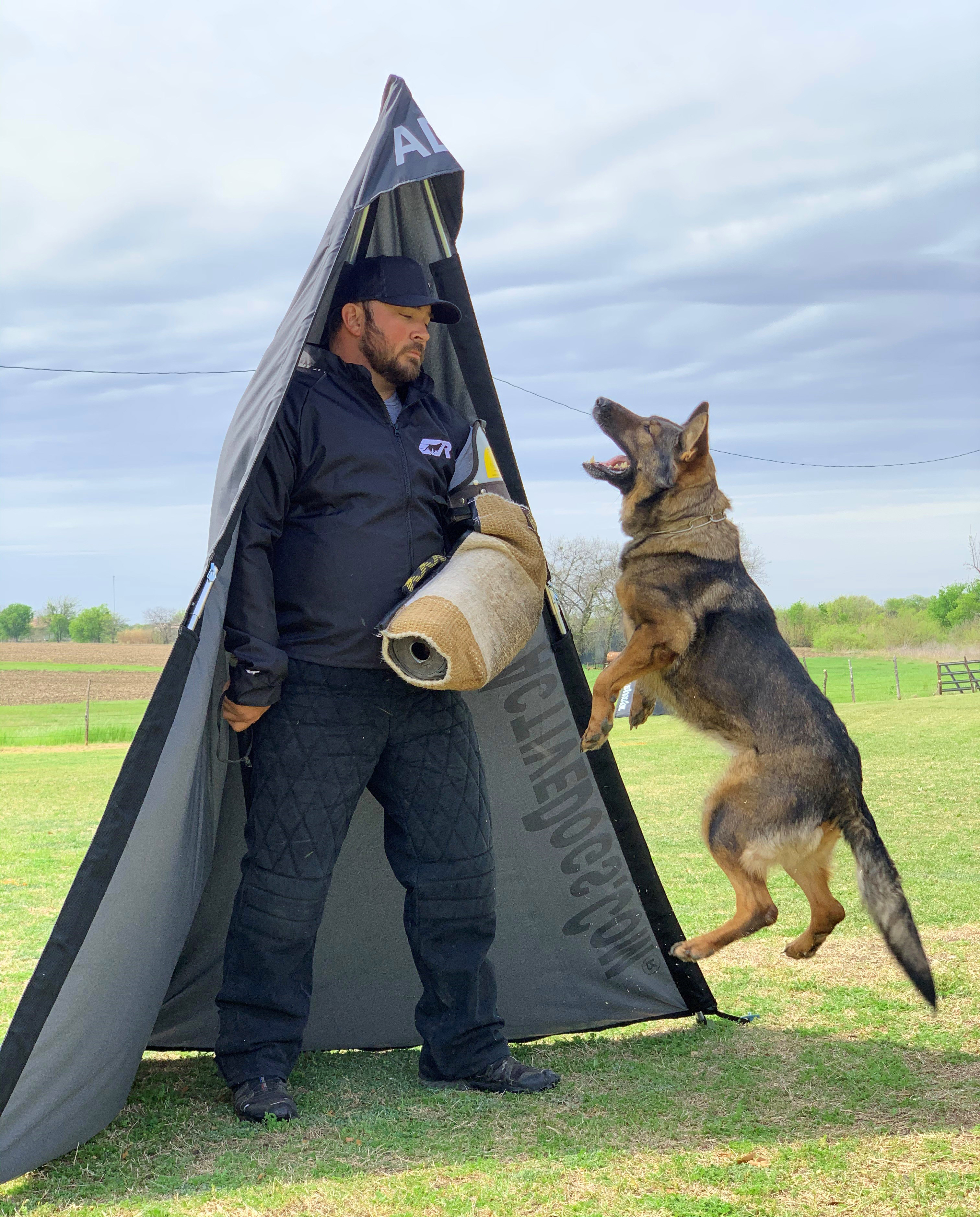 Trainer and German Shepherd Using Schutzhund Training Equipment 