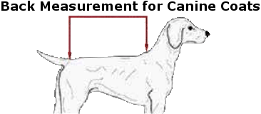 Illustration that shows the back measurement for dogs.